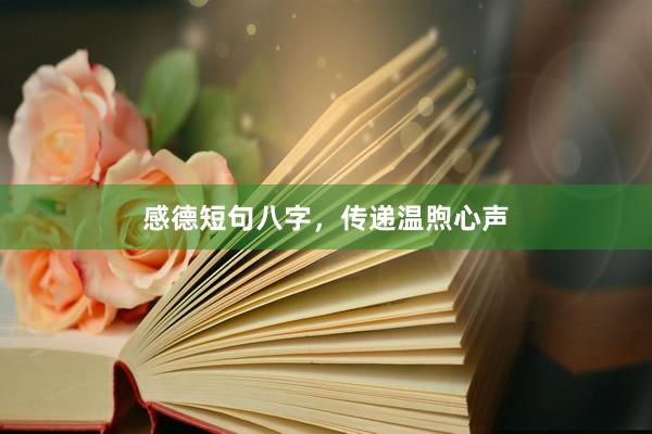 感德短句八字，传递温煦心声