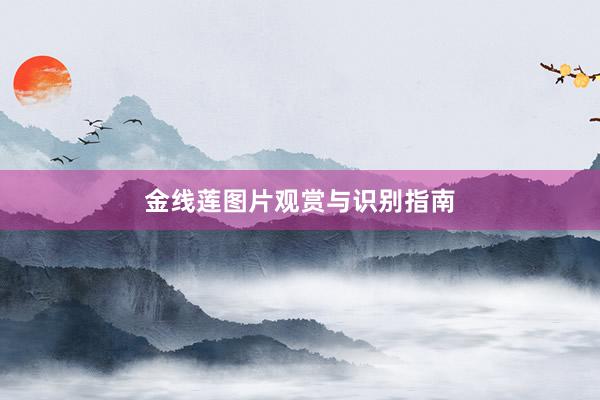 金线莲图片观赏与识别指南