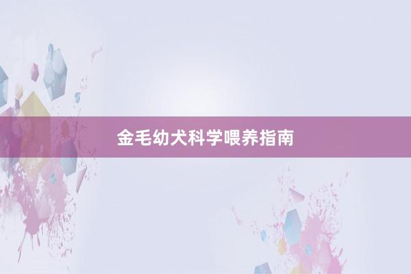 金毛幼犬科学喂养指南